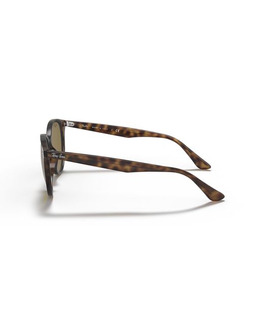 Ray-Ban Black Rb4305 Round Sunglasses, Stripped Red Havana/dark Brown, 53 Mm