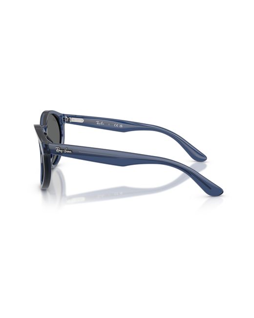 Ray-Ban Black Ray