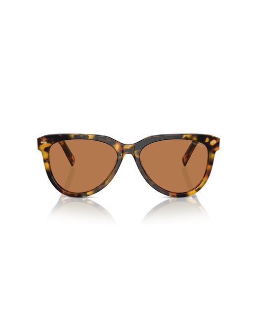 Miu Miu Black Mu 12Zs Vau01T Sunglasses Acetate Pantos Normal