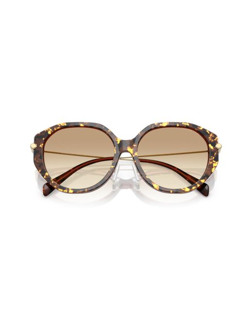 Michael Kors Black Mk2248D Jinan 401613 Sunglasses Acetate Geometric Normal Shaded