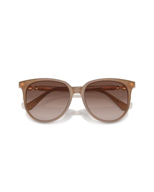 Swarovski Black Sk6023D 200213 Sunglasses Acetate Geometric Normal Shaded