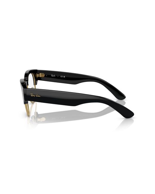 Ray-Ban Black Ray