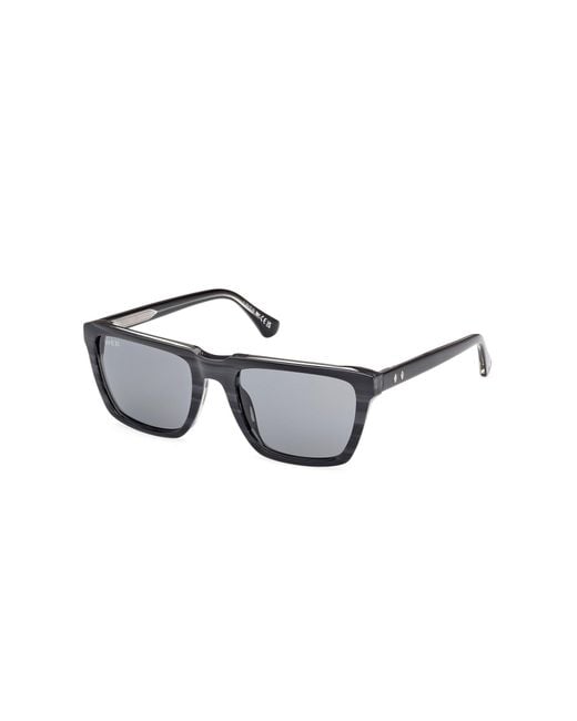 Web Black We0379 20A Sunglasses Acetate Smoke Squared Normal for men