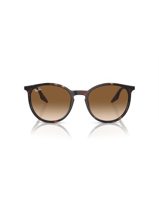 Ray-Ban Black Rb2204 Sunglasses Frame Brown Lenses