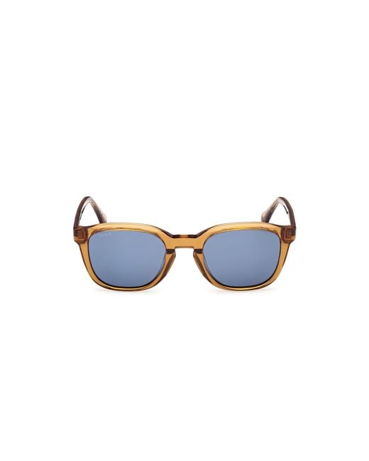 Web Blue We0390 39V Sunglasses Acetate Round Normal for men