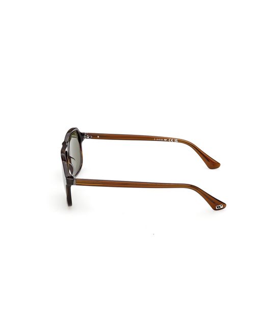 Web Multicolor We0396 56N Sunglasses Acetate Squared Normal for men