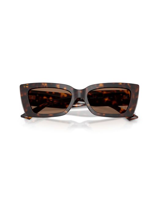 Jimmy Choo Black Jc5037Bu 500273 Sunglasses Acetate Cat Eye Normal