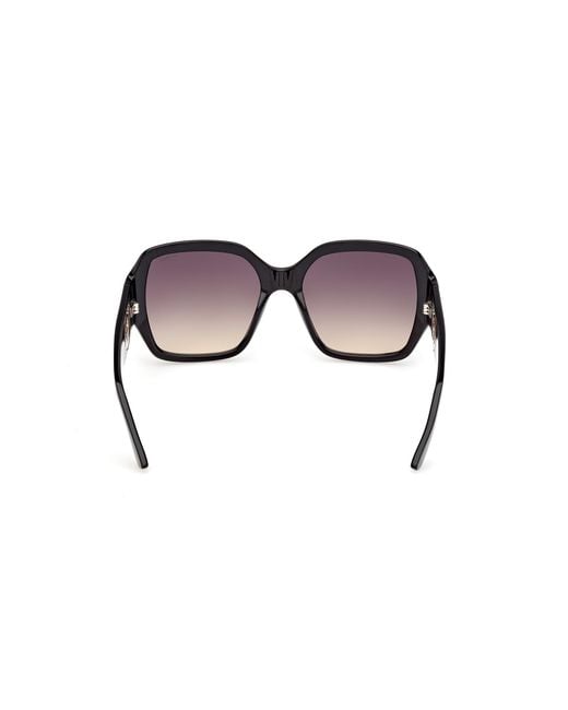 Guess Black Gu00283 01B Sunglasses Injected Smoke Squared Normal