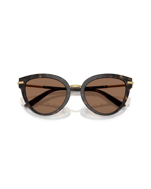 Dolce & Gabbana Black Dg4492 321713 Sunglasses Acetate Butterfly Normal
