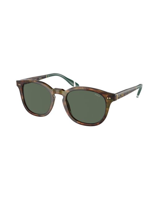 Polo Ralph Lauren Black Ph4206 501771 Sunglasses Acetate Pantos Normal for men