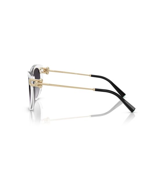 Tiffany & Co Black Tf4232 80473C Sunglasses Acetate Butterfly Normal Nuanced