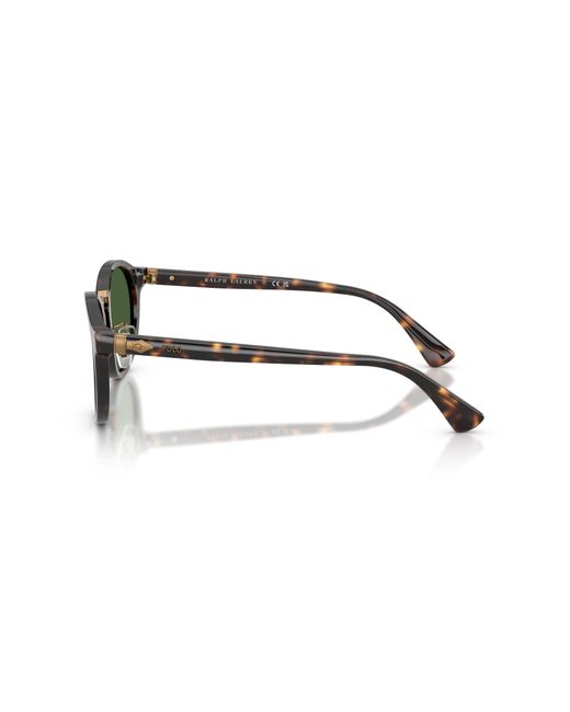 Polo Ralph Lauren Green Ph4230 500371 Sunglasses Acetate Round Normal for men