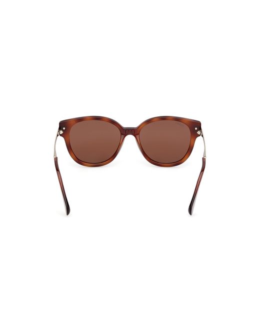 MAX&Co. Black Mo0121 52E Sunglasses Injected Round Normal
