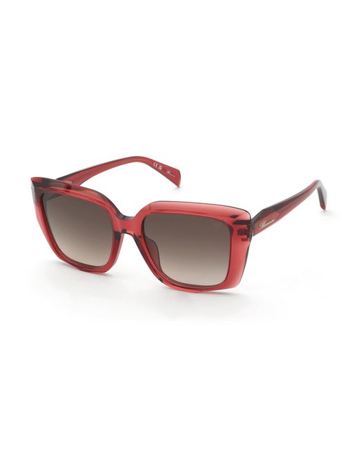 Blumarine Black Sbm241S 0Vc2 Sunglasses Acetate Squared Normal Nuanced
