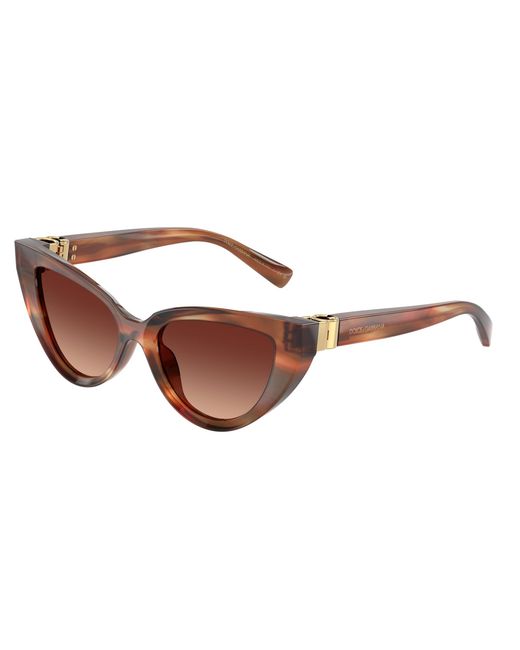 Dolce & Gabbana Black Dg4497 322113 Sunglasses Acetate Cat Eye Normal Shaded
