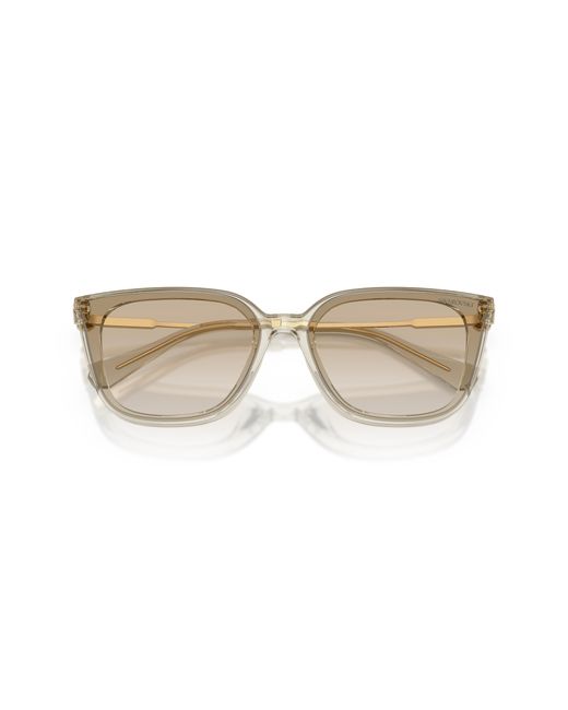 Swarovski Black Sk6054D 300311 Sunglasses Acetate Squared Normal Nuanced