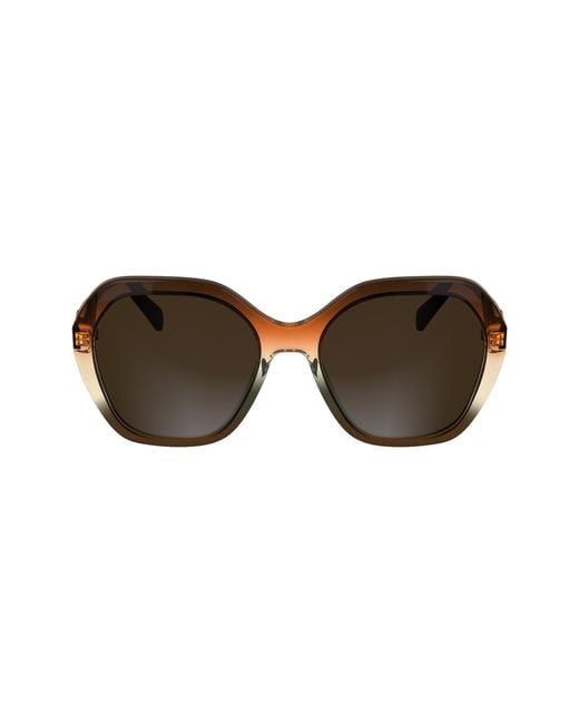 Longchamp Black Lo759S 209 Sunglasses Acetate Squared Normal