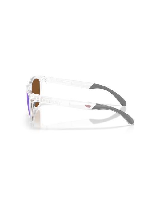Oakley Purple Oo9503 Frogskins Range Xl 950305 Sunglasses O_Matter Round Normal