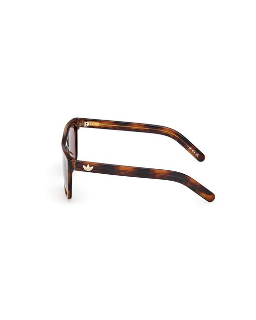Adidas Black Or0140 52E Sunglasses Acetate Squared Normal