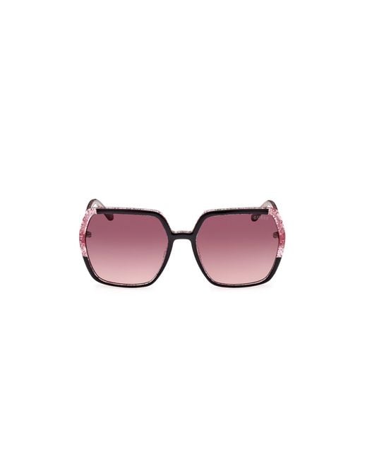 Guess Black Gu7883 01T Sunglasses Injected Bordeaux Squared Normal Shaded