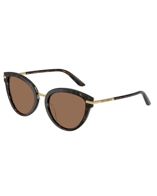 Dolce & Gabbana Black Dg4492 321713 Sunglasses Acetate Butterfly Normal