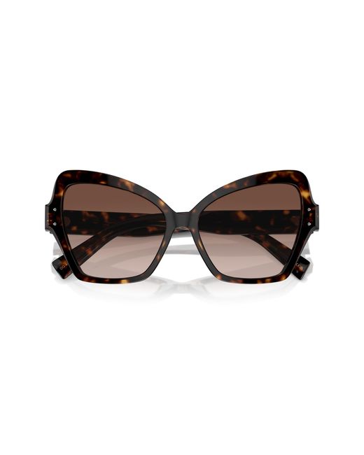Dolce & Gabbana Black Dg4463 502/13 Sunglasses Acetate Butterfly Normal Shaded