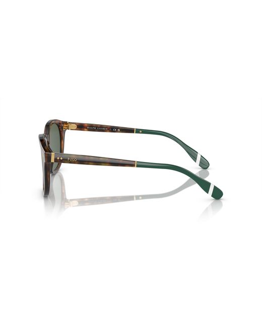 Polo Ralph Lauren Black Ph4206 501771 Sunglasses Acetate Pantos Normal for men