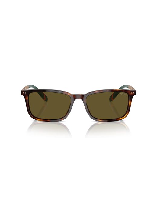 Polo Ralph Lauren Black Ph4212 613773 Sunglasses Acetate Squared Normal for men