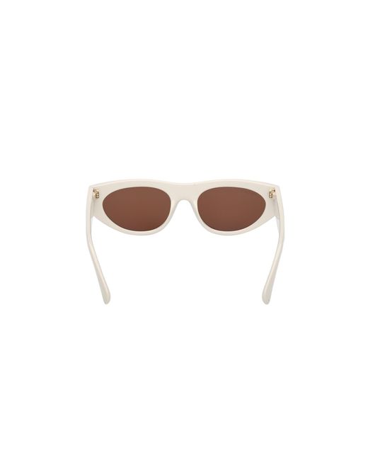 MAX&Co. Black Mo0147 25E Sunglasses Injected Cat Eye Normal