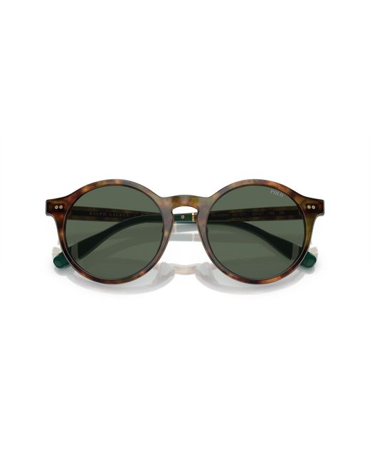 Polo Ralph Lauren Green Ph4204U 501771 Sunglasses Acetate Pantos Normal for men