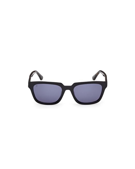 Web Black We0391 05V Sunglasses Acetate Squared Normal for men