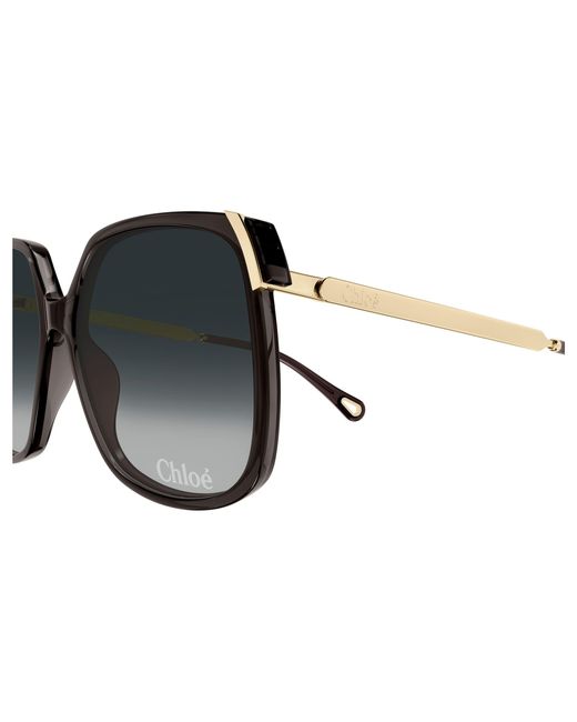 Chloé Black Ch0286S 001 Sunglasses Acetate Squared