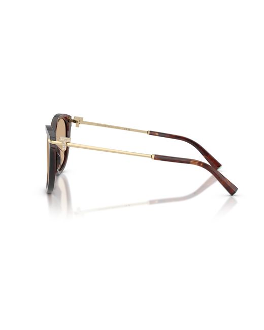 Tiffany & Co Black Tf4258Bu 8421/8 Sunglasses Acetate Pantos Normal