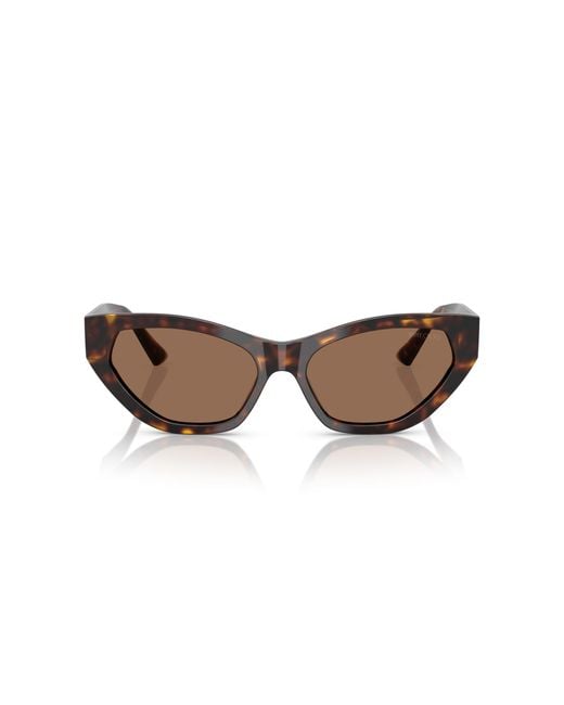 Jimmy Choo Black Jc5022B 500273 Sunglasses Acetate Cat Eye Normal