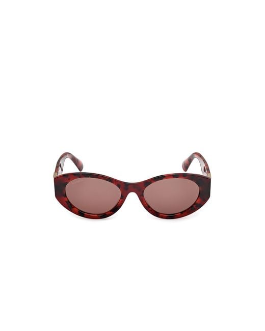 MAX&Co. Multicolor Mo0123 54E Sunglasses Acetate Round Normal