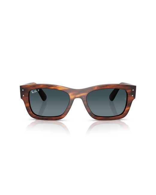 Ray-Ban Black Ray