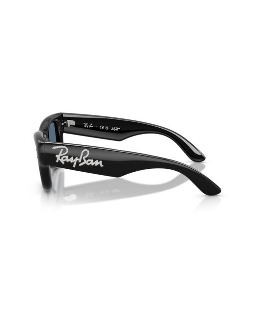 Ray-Ban Black Ray