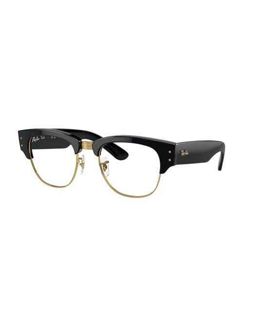 Ray-Ban Black Ray