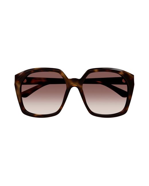 Chloé Black Ch0280S 006 Sunglasses Acetate Squared