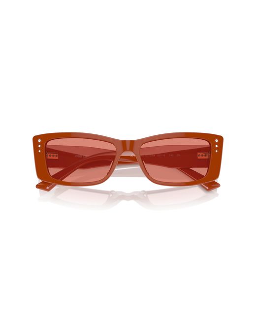 Jimmy Choo Black Jc5002Bu 501084 Sunglasses Acetate Pillow Normal