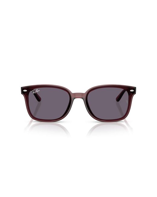 Ray-Ban Black Ray