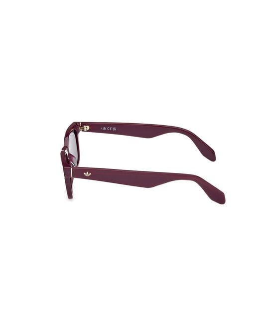 Adidas Black Or0117 81U Sunglasses Acetate Bordeaux Squared Normal