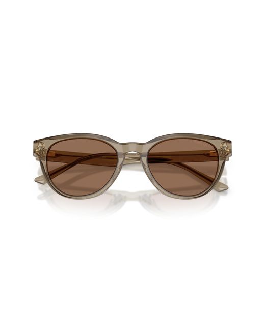 Jimmy Choo Black Jc5043D 505173 Sunglasses Acetate Pantos Normal