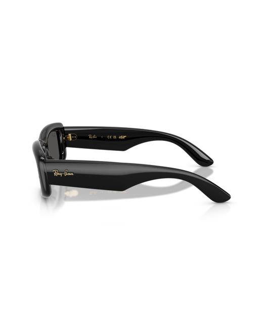 Ray-Ban Black Ray
