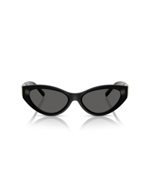 Tiffany & Co Black Tf4225U 8001S4 Sunglasses Injected Round Normal