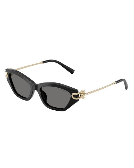 Tiffany & Co Black Tf4231U 800181 Sunglasses Acetate Cat Eye Polarized