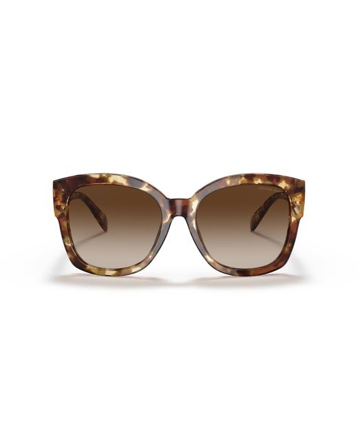 Michael Kors Black Mk2164 Baja 302813 Sunglasses Acetate Squared Normal Shaded