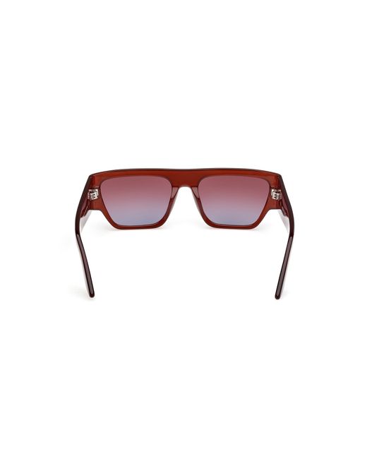 Gcds Brown Gd0064 48T Sunglasses Acetate Bordeaux Geometric Normal Shaded
