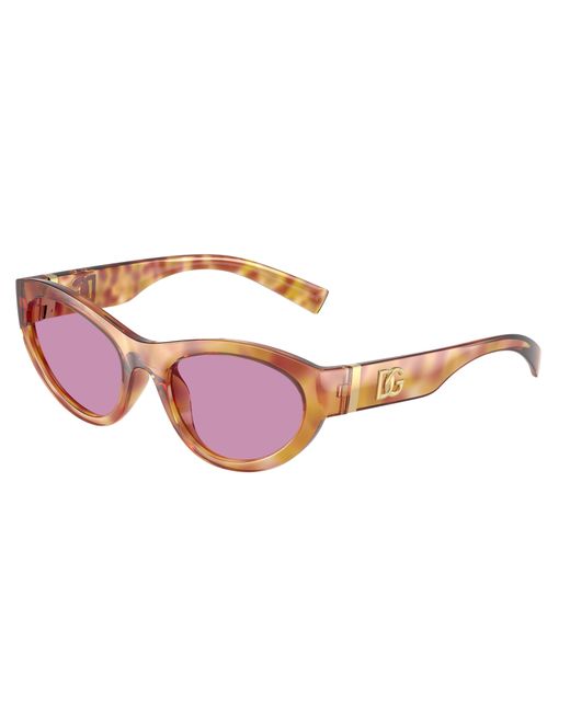 Dolce & Gabbana Black Dg6207 34771A Sunglasses Injected Cat Eye Normal