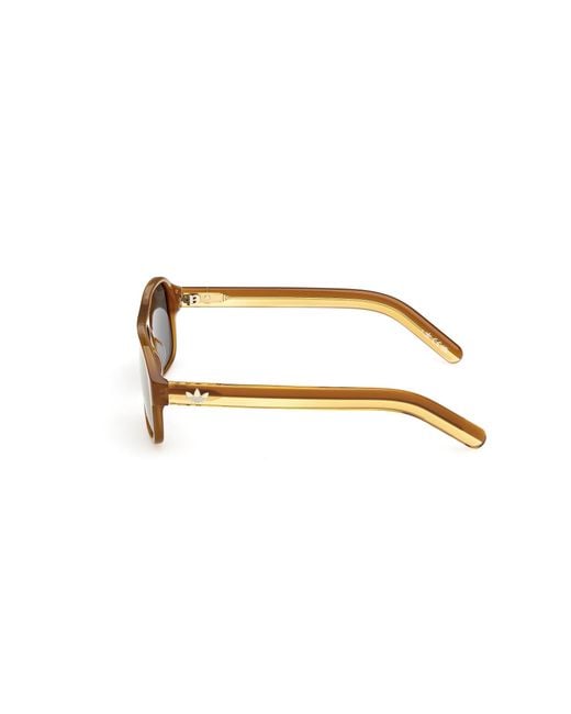 Adidas Black Or0141 42Q Sunglasses Acetate Pilot Normal